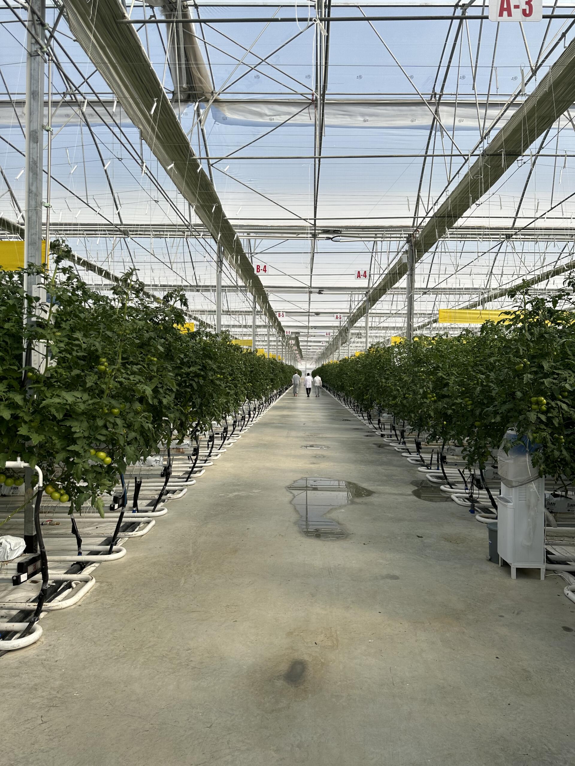 Çevre Dostu Yaklaşımlarımız